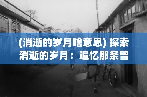 (消逝的岁月啥意思) 探索消逝的岁月：追忆那条曾经繁华昌盛的老街道，感受时代变迁的印记